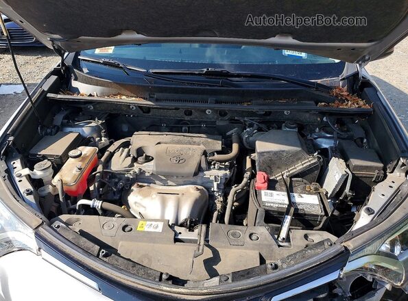 JTMBFREV7JJ196451 2018 TOYOTA RAV4 Серебряный Вид задней части салона