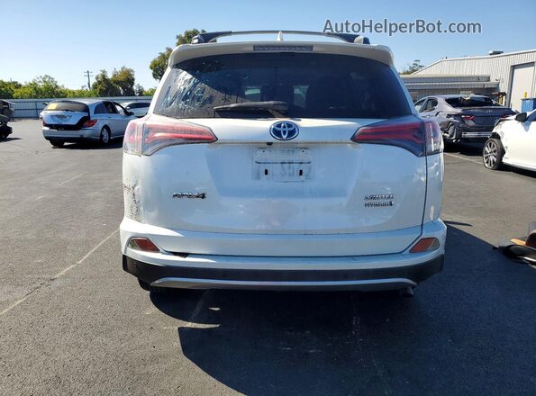 JTMDJREV2HD069817 2017 TOYOTA RAV4 Белый Вид сзади