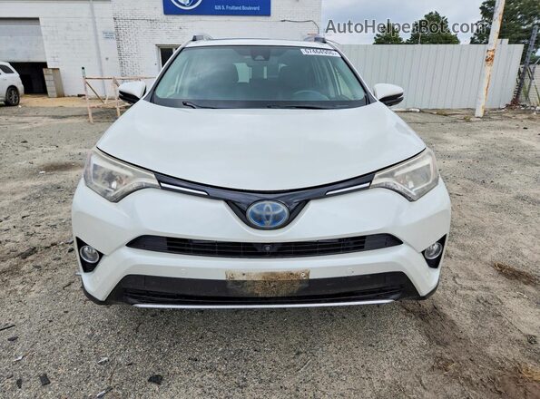 JTMDJREV8GD018112 2016 TOYOTA RAV4 Белый Вид спереди