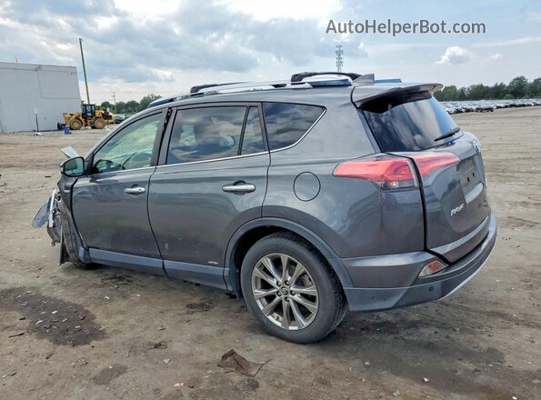JTMDJREVXGD036112 2016 TOYOTA RAV4 Gray Задня ліва чверть