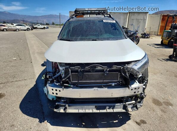 JTMEB3FV7PD155328 2023 TOYOTA RAV4 White Front view
