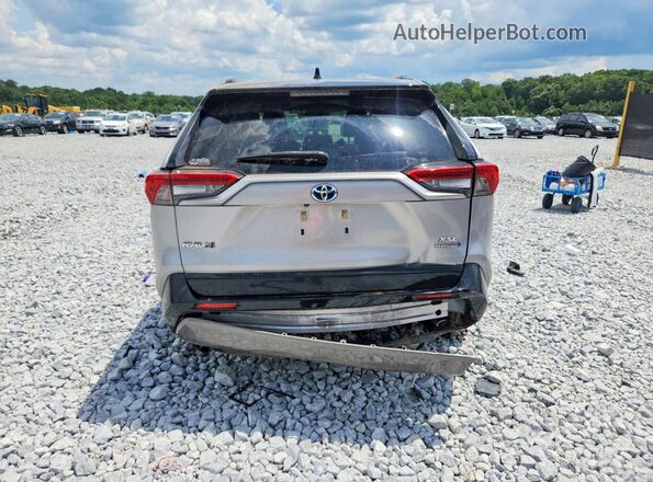 JTMEWRFV2LJ040929 2020 TOYOTA RAV4 Silver Вид ззаду