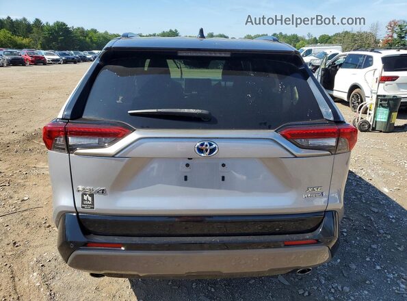 JTMEWRFV5LD548567 2020 TOYOTA RAV4 Silver უკანა ხედი