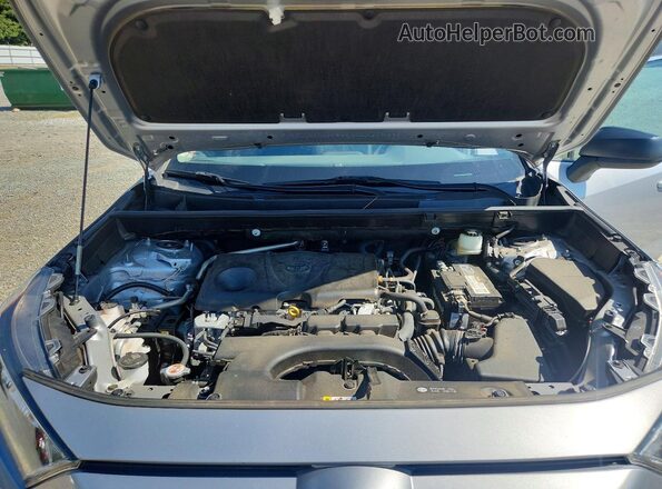 JTMH1RFV3LD045776 2020 TOYOTA RAV4 Silver Вид задньої частини салону
