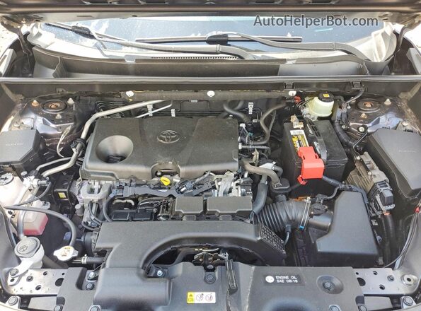 JTMP1RFV3KJ005743 2019 TOYOTA RAV4 Gray უკანა სალონის ხედი