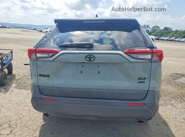 JTMP1RFV7KD012063 2019 TOYOTA RAV4 Green უკანა ხედი