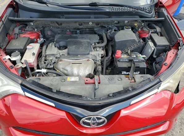 JTMRFREV0GJ054465 2016 TOYOTA RAV4 Красный Вид задней части салона