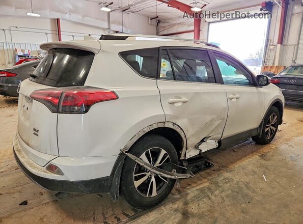 JTMRFREV6HJ111592 2017 TOYOTA RAV4 White Tył prawy