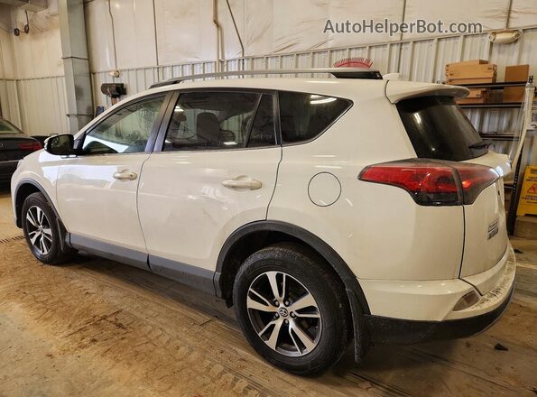 JTMRFREV6HJ111592 2017 TOYOTA RAV4 White Tył lewy