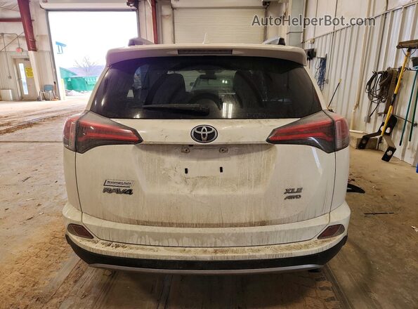 JTMRFREV6HJ111592 2017 TOYOTA RAV4 White Widok z tyłu