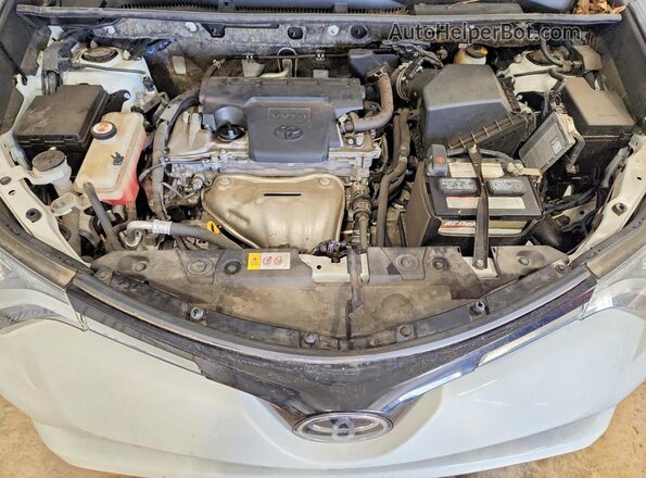 JTMRFREV6HJ111592 2017 TOYOTA RAV4 White Widok wnętrza z tyłu