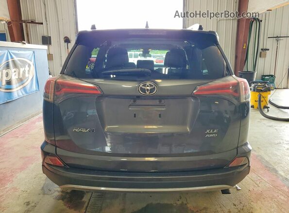 JTMRFREV6HJ707348 2017 TOYOTA RAV4 Угольный Вид сзади