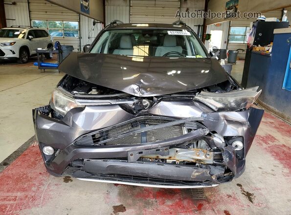 JTMRFREV6HJ707348 2017 TOYOTA RAV4 Угольный Вид спереди