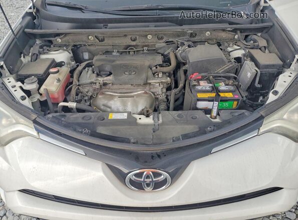 JTMRFREV7GJ090234 2016 TOYOTA RAV4 White Սալոնի հետևի տեսք