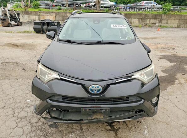 JTMRJREV3GD008755 2016 TOYOTA RAV4 Black Դիմացի տեսք