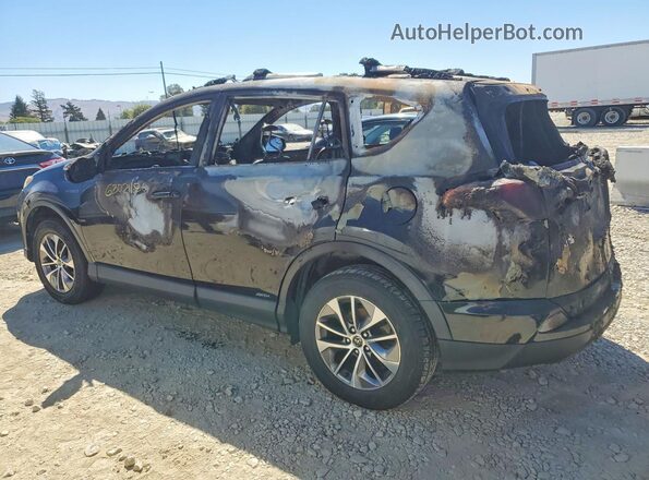 JTMRJREV3HD086003 2017 TOYOTA RAV4 Burn Tył lewy