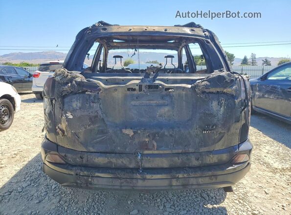 JTMRJREV3HD086003 2017 TOYOTA RAV4 Burn Widok z tyłu