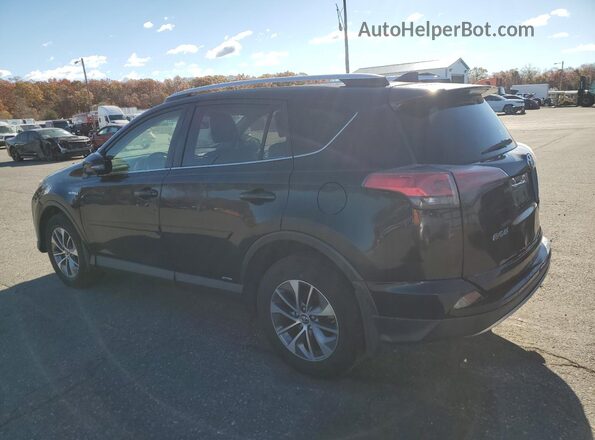 JTMRJREV7GD022464 2016 TOYOTA RAV4 Black Tył lewy