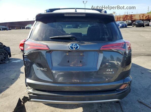 JTMRJREV7HD093794 2017 TOYOTA RAV4 Gray Widok z tyłu