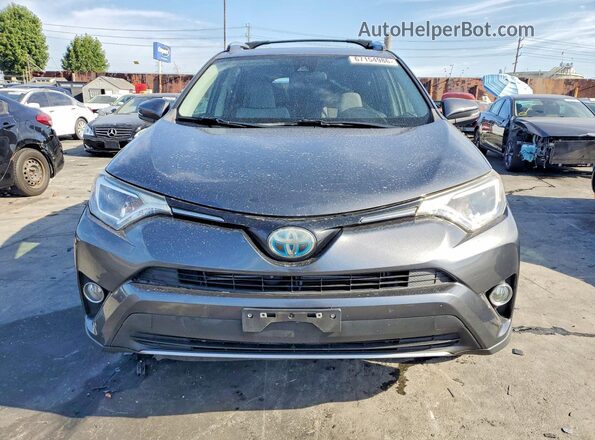 JTMRJREV7HD093794 2017 TOYOTA RAV4 Gray Widok z przodu
