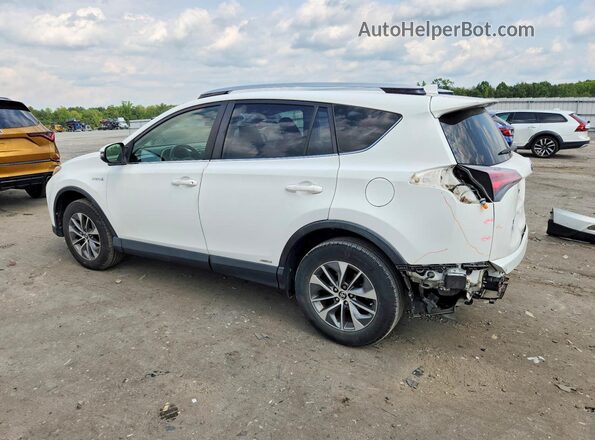 JTMRJREVXGD013046 2016 TOYOTA RAV4 White Trasero izquierdo