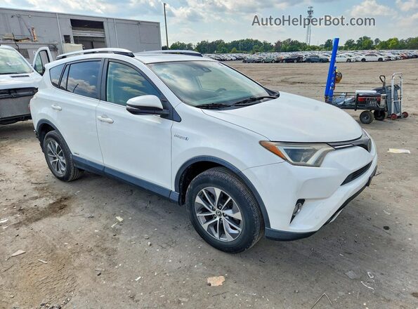JTMRJREVXGD013046 2016 TOYOTA RAV4 White Delantero derecho