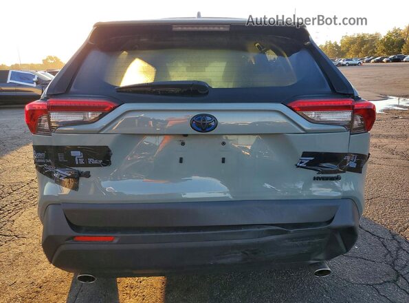JTMRWRFV2LD059450 2020 TOYOTA RAV4 Серый Вид сзади