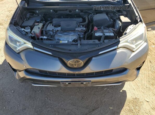 JTMYFREV3GD089558 2016 TOYOTA RAV4 Charcoal Սալոնի հետևի տեսք