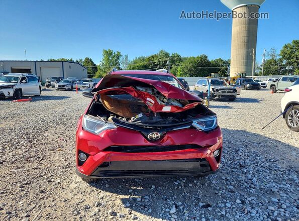 JTMZFREV3HJ109606 2017 TOYOTA RAV4 Красный Вид спереди