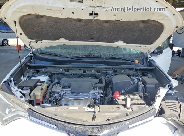 JTMZFREV5JJ208255 2018 TOYOTA RAV4 White Սալոնի հետևի տեսք