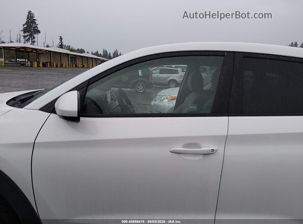 KM8J2CA44KU879527 2019 HYUNDAI TUCSON White 