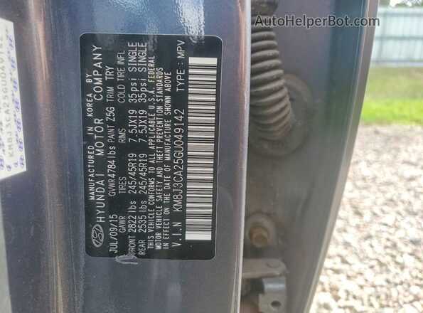 KM8J3CA25GU049142 2016 HYUNDAI TUCSON Gray VIN sticker view