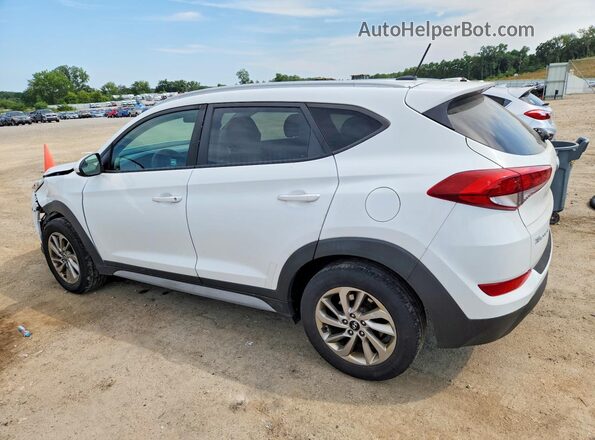 KM8J3CA42HU432829 2017 HYUNDAI TUCSON White Հետևի ձախ