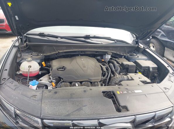 KM8JB3DE5RU334161 2024 HYUNDAI TUCSON Dark Blue Вид сзади