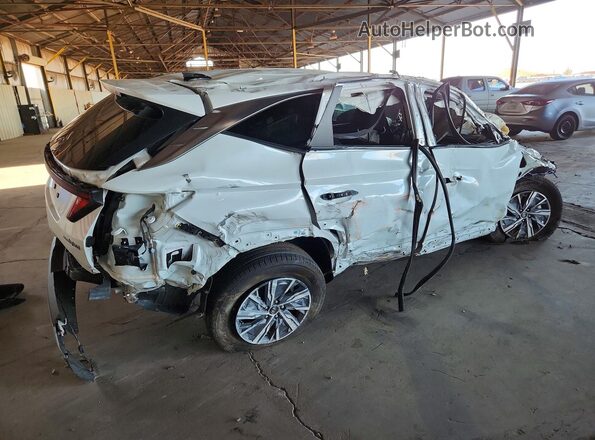 KM8JBCD11RU228464 2024 HYUNDAI TUCSON White Tył prawy
