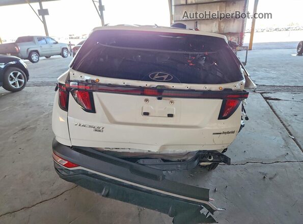 KM8JBCD11RU228464 2024 HYUNDAI TUCSON White Widok z tyłu