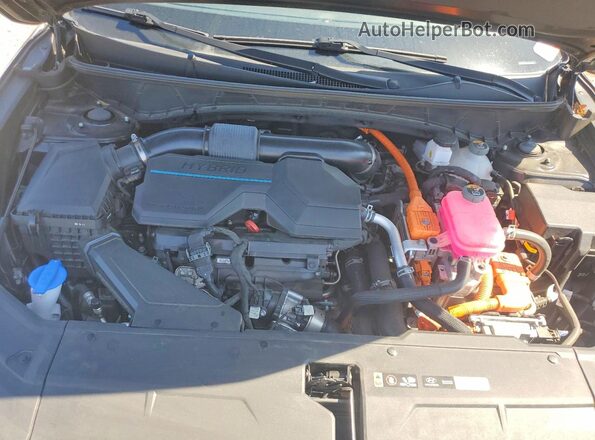 KM8JBCD13RU219233 2024 HYUNDAI TUCSON Черный Вид задней части салона
