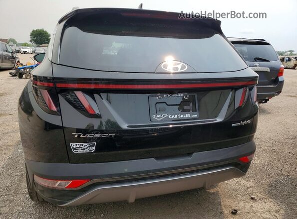 KM8JCCA16NU015246 2022 HYUNDAI TUCSON Black Vista trasera
