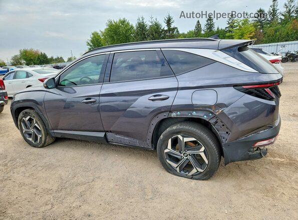 KM8JCCD1XRU137013 2024 HYUNDAI TUCSON Gray Հետևի ձախ