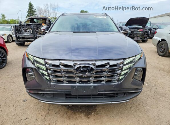 KM8JCCD1XRU137013 2024 HYUNDAI TUCSON Gray Դիմացի տեսք