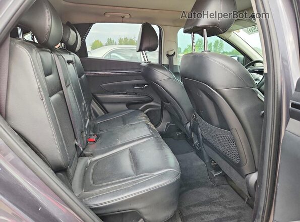 KM8JCCD1XRU137013 2024 HYUNDAI TUCSON Gray Սալոնի հետևի տեսք