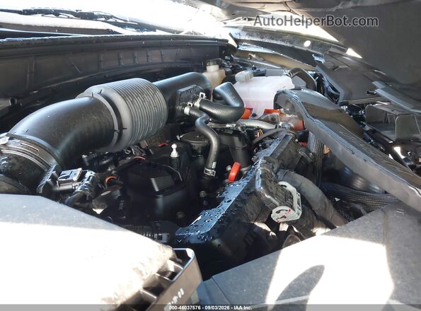KM8JCDD13SU294247 2025 HYUNDAI TUCSON HYBRID Gray Rear view
