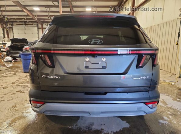 KM8JCDD19SU273015 2025 HYUNDAI TUCSON Gray უკანა ხედი