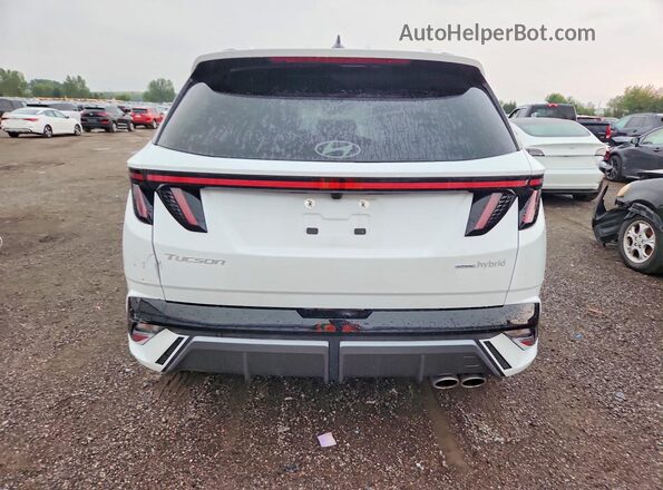 KM8JCDD19TU422640 2026 HYUNDAI TUCSON White Rear view