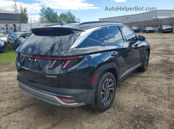 KM8JCDD1XTU458661 2026 HYUNDAI TUCSON Black Հետևի աջ