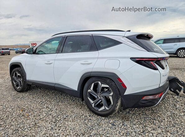 KM8JECA10PU129188 2023 HYUNDAI TUCSON White Задня ліва чверть