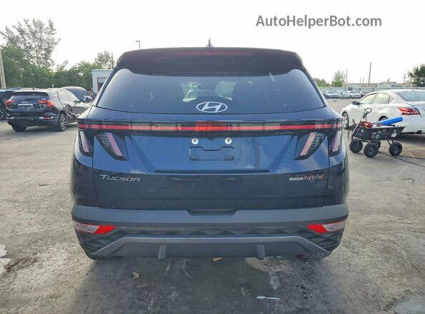 KM8JECD16RU140033 2024 HYUNDAI TUCSON Blue Vista trasera