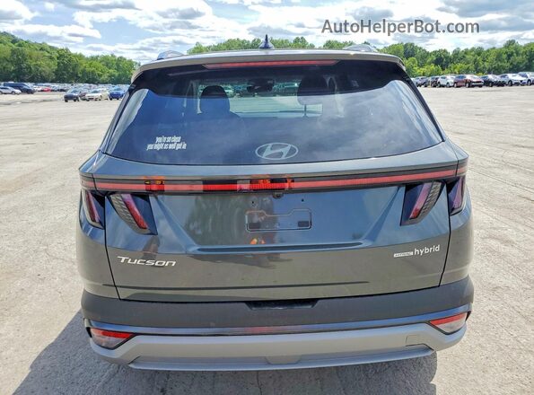 KM8JEDD1XTU477513 2026 HYUNDAI TUCSON Gray Rear view