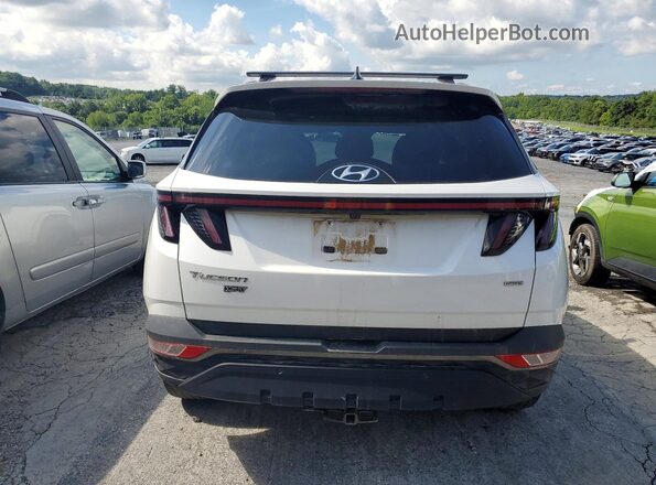 KM8JFCAE3PU194679 2023 HYUNDAI TUCSON White Widok z tyłu