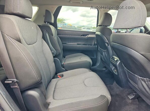KM8R24HE9LU051756 2020 HYUNDAI PALISADE Black Vista interior trasera
